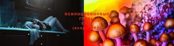 скорость Липки