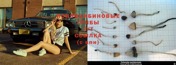 стафф Костерёво