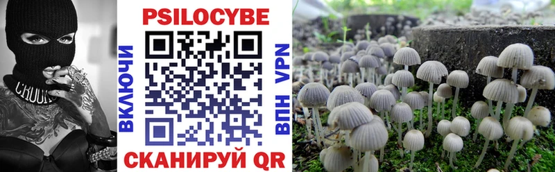 как найти наркотики  Узловая  Галлюциногенные грибы Cubensis 